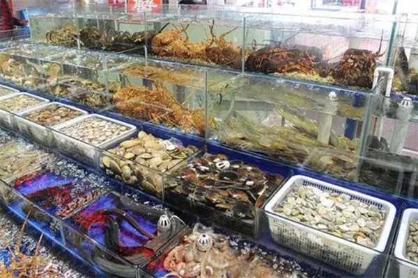辰凱水產(chǎn)行加盟