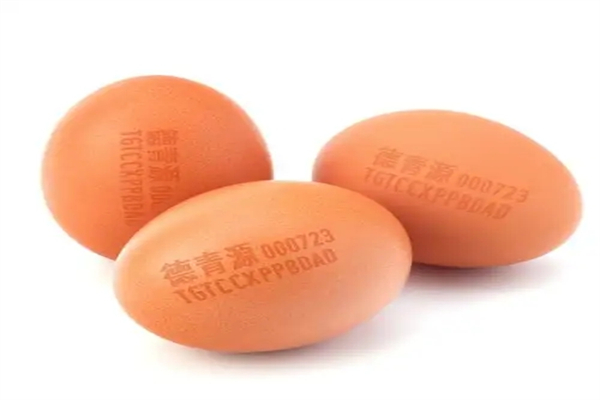 德青源雞蛋加盟