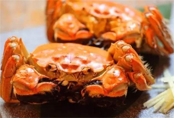 蟹中匯大閘蟹
