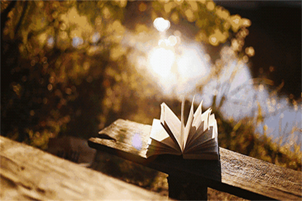 坐忘書房加盟