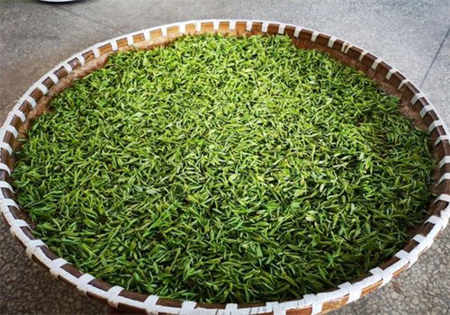 大石頭茶葉加盟