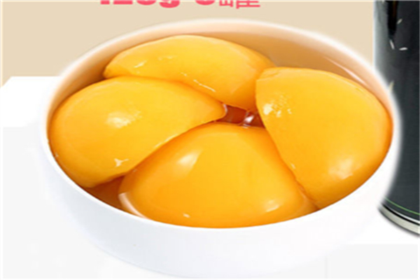 中陽(yáng)罐頭食品加盟