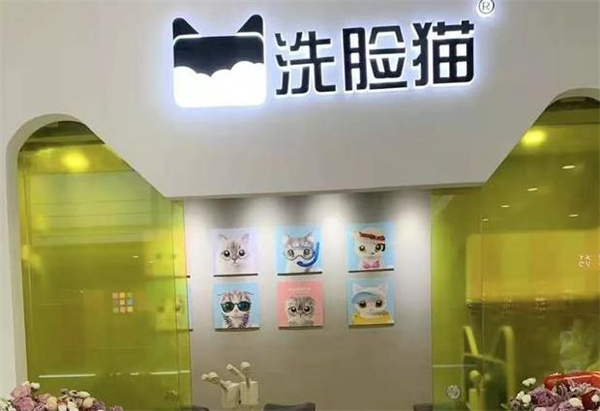 洗臉貓洗臉吧