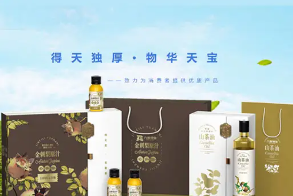 八度得寶加盟