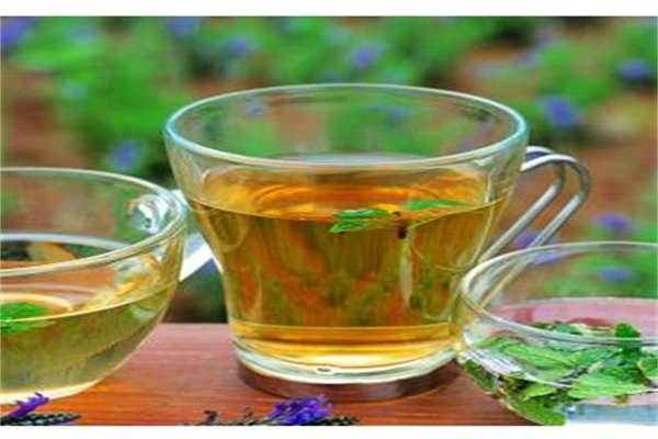 新茶園茶葉