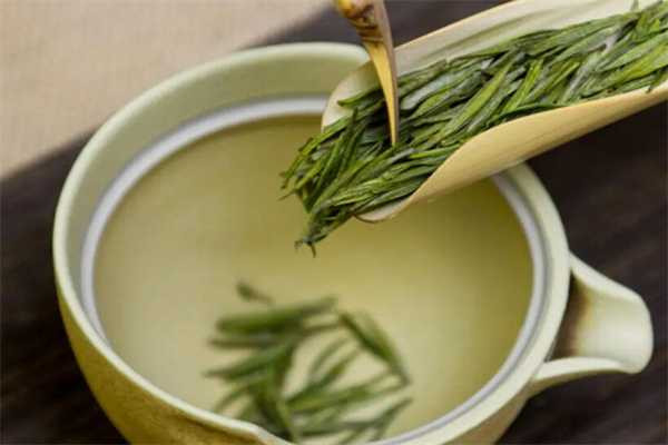 美吉源茶葉加盟