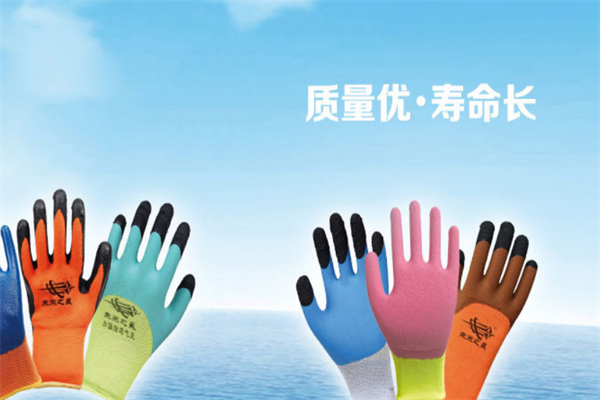 未來之星安防