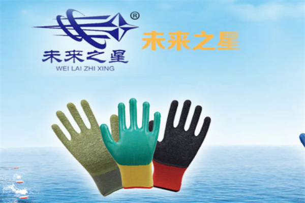 未來之星安防