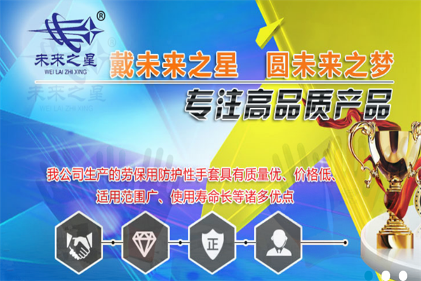 未來之星安防