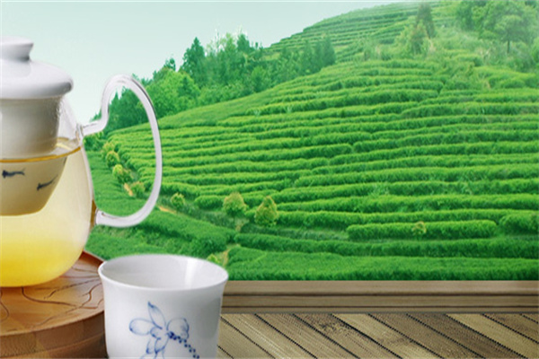 玉華茶業(yè)加盟