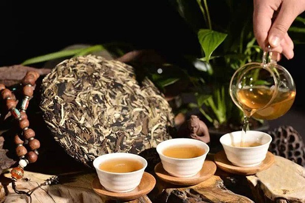 天音茶葉