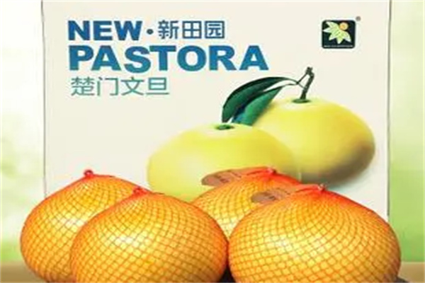 新田園食品加盟