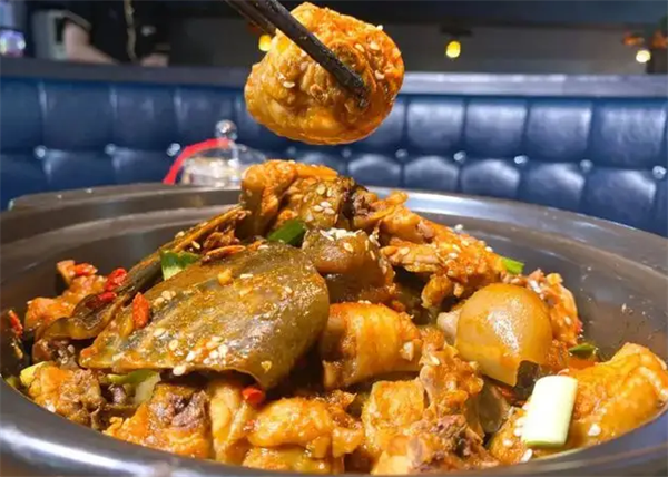 鳴渝甲魚雞煲