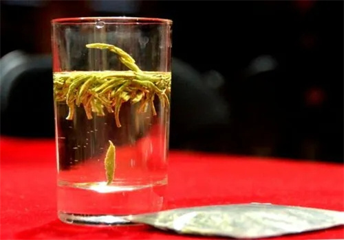 蒼山茶業(yè)加盟