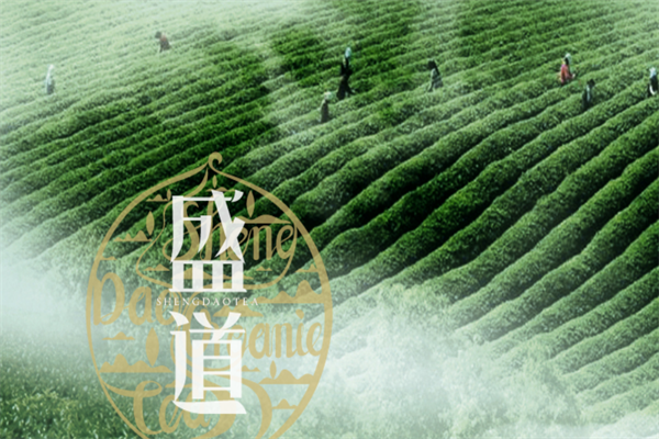 盛道茶業(yè)