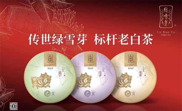 綠雪芽白茶