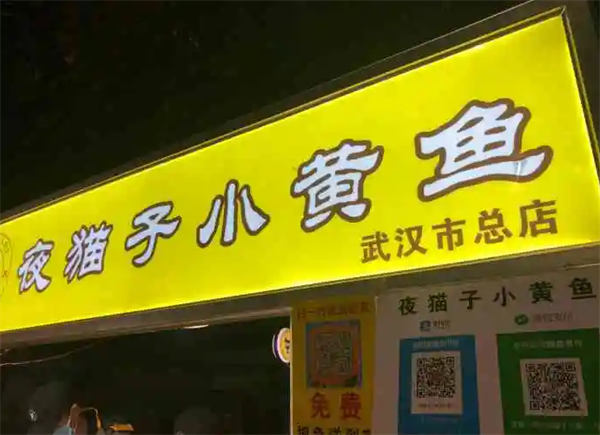 夜貓子小黃魚