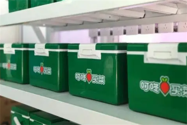 叮咚買菜費(fèi)用多少？