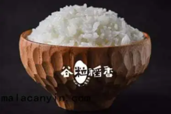 谷粒稻香牛肉飯