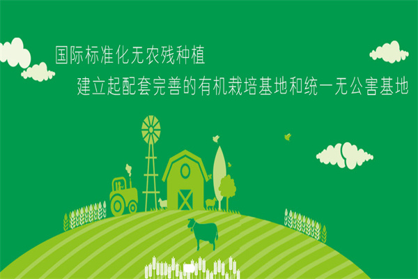 鑫碩蔬菜食品加盟