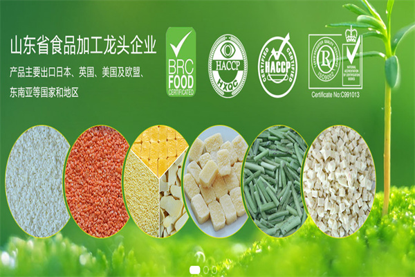 鑫碩蔬菜食品加盟