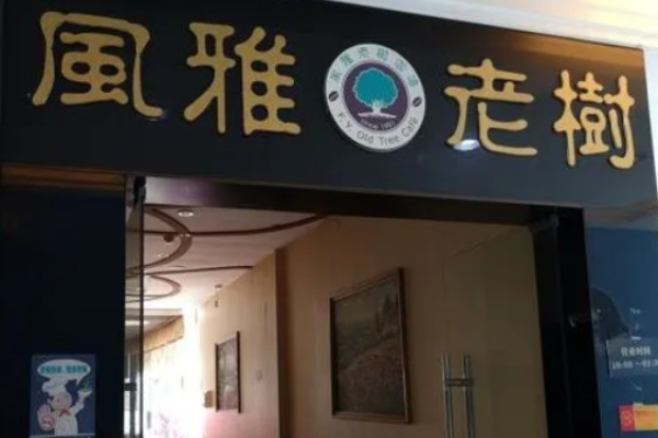 風(fēng)雅老樹咖啡費(fèi)大概多少?