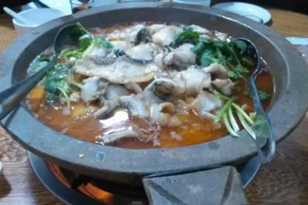 亞亞石鍋魚(yú)