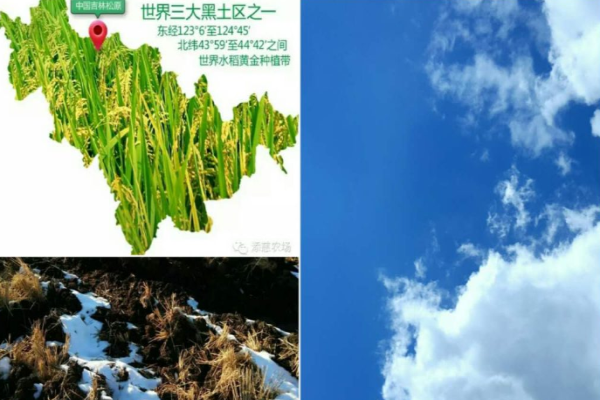 添慈農(nóng)場(chǎng)加盟