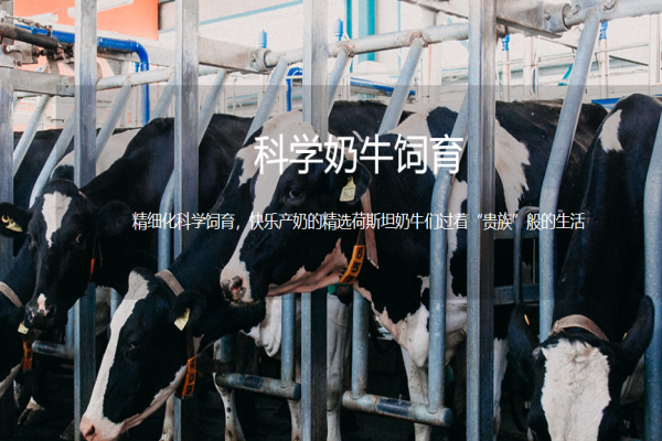 富友聯(lián)合食品加盟