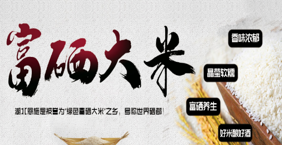 四季松富硒米啤酒加盟