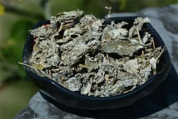 純養(yǎng)藤霜茶