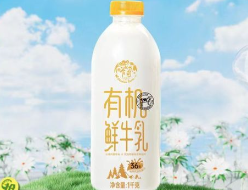 乍甸鮮奶加盟