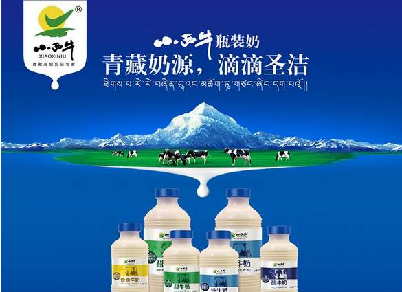 小西牛純牛奶加盟