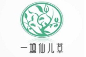 一棵仙兒草加盟