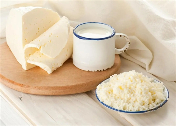 豐園乳業(yè)加盟