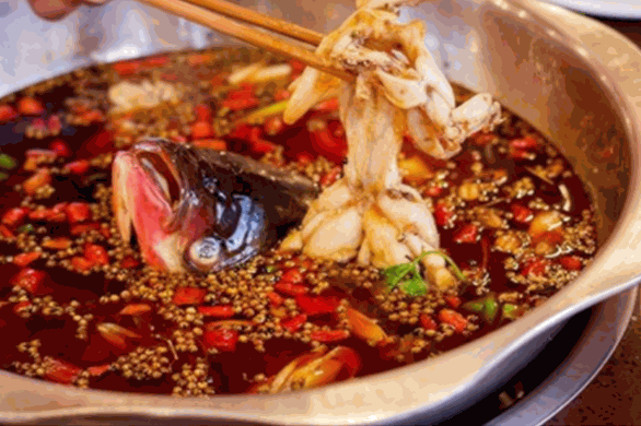 大江美蛙魚(yú)火鍋加盟