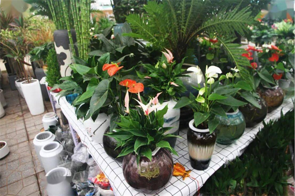 欣靈花屋