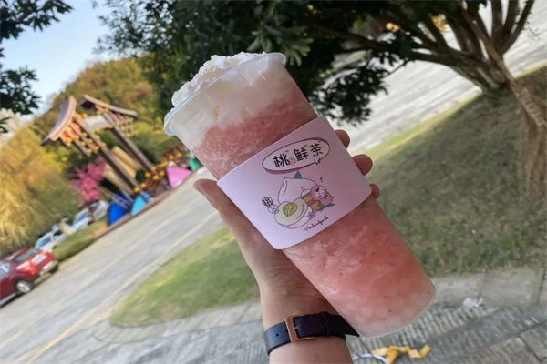 桃花源記奶茶加盟