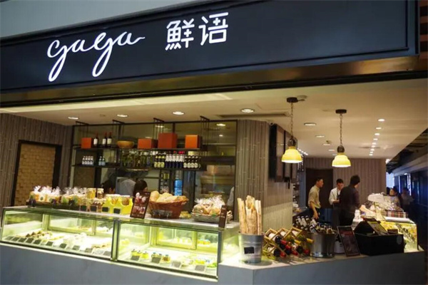 gaga鮮語加盟