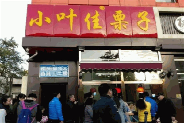 小葉佳栗子加盟