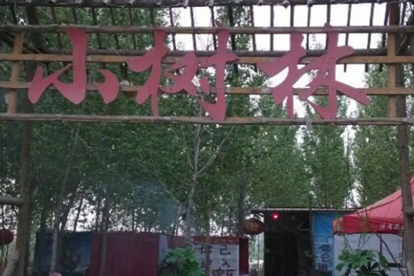 小樹林燒烤加盟費(fèi)多少錢?