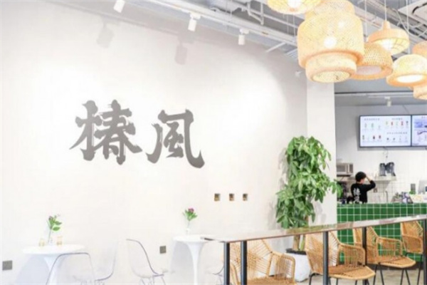 椿風草本養(yǎng)生飲品