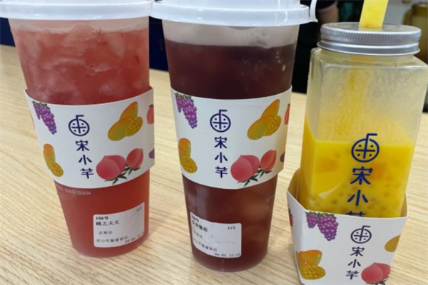 宋小芊的奶茶加盟
