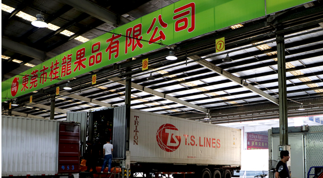 桂龍果品加盟