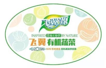 飛翼源有機蔬菜小火鍋加盟