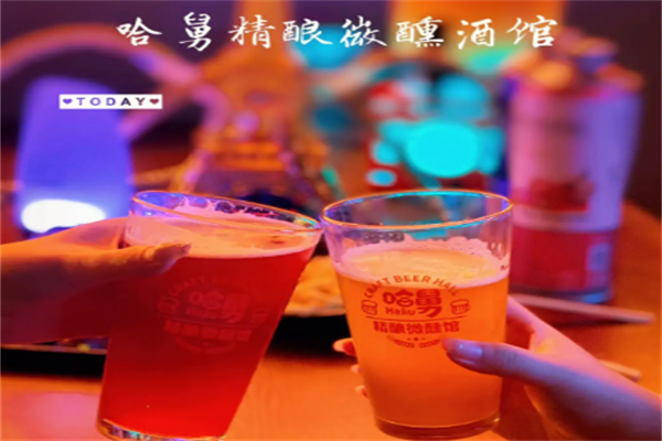 哈舅啤酒加盟