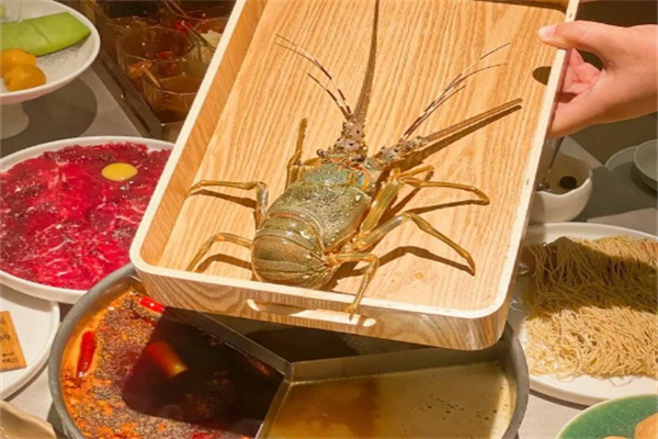 平記牛肉火鍋加盟
