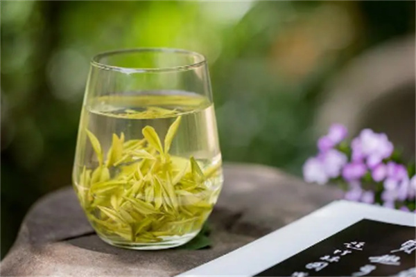 安吉白茶極白加盟