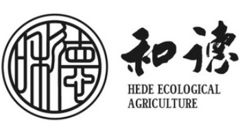 和德口味牛肉面加盟