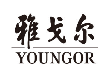 雅戈爾男裝旗艦店加盟